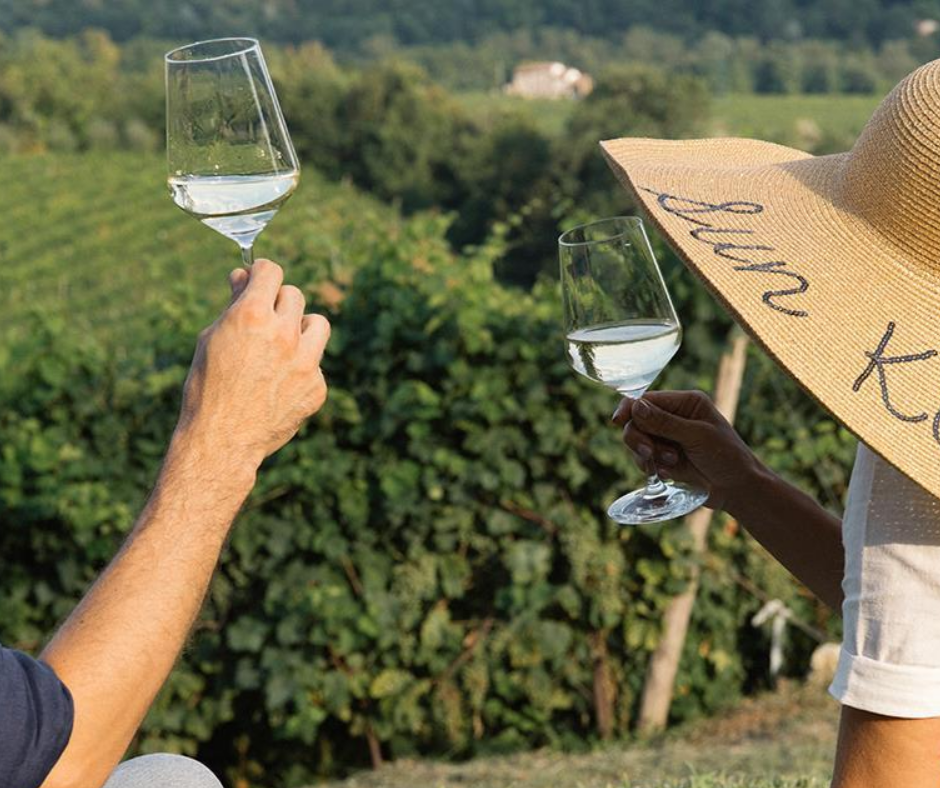 Ontdek de heerlijke smaken en aroma’s van wijnen uit Veneto, Piemonte en Puglia